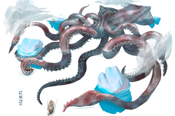 Kraken 24 top