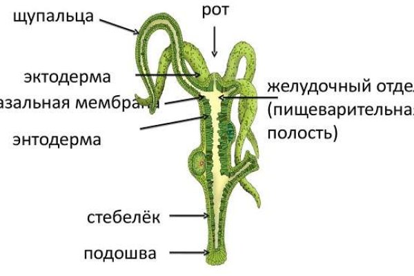Кракен вход ссылка