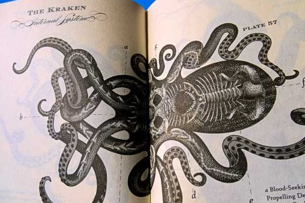 Kraken ссылка krakentor site
