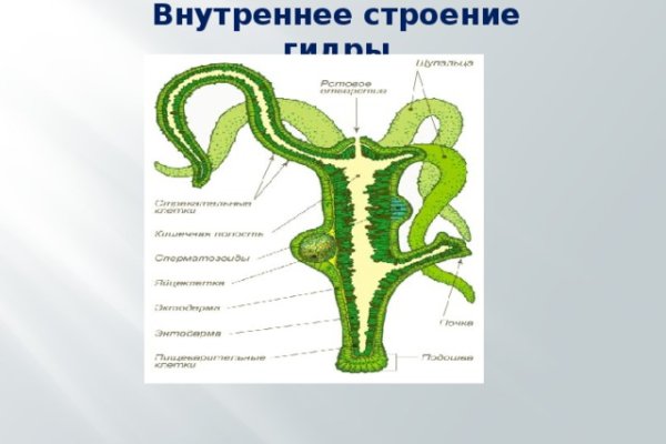 Вход на кракен