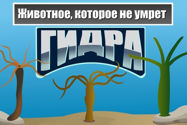 Кракен это наркота