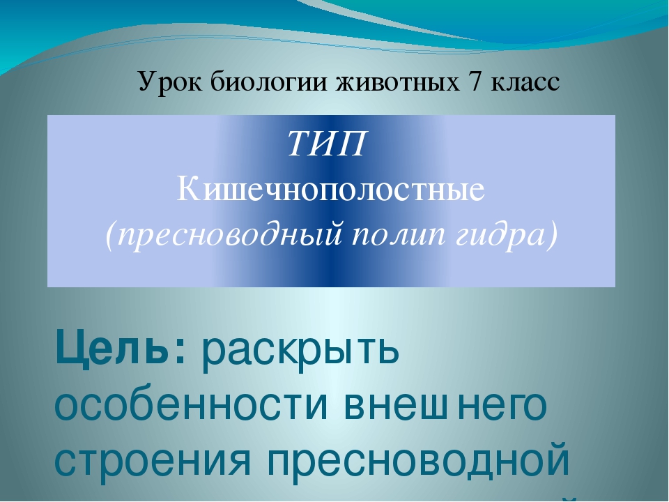 Кракен тор kr2web in