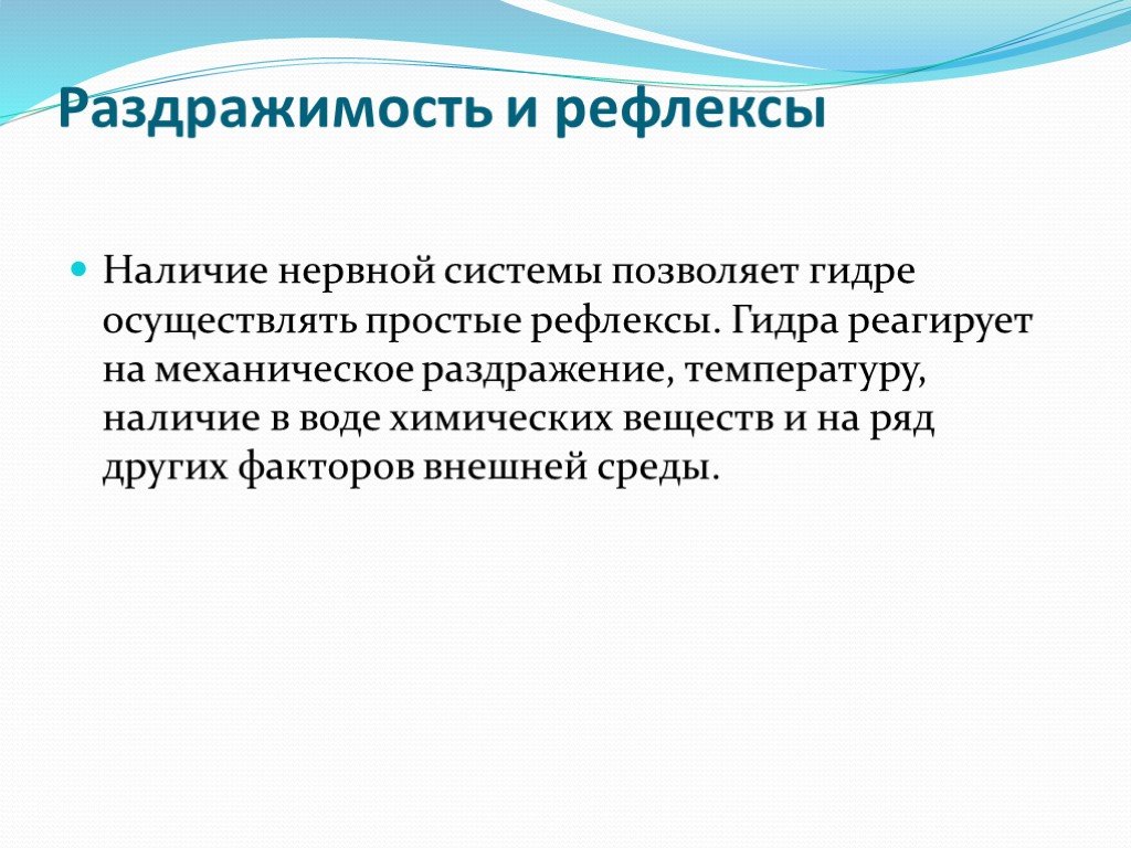 Кракен активная ссылка