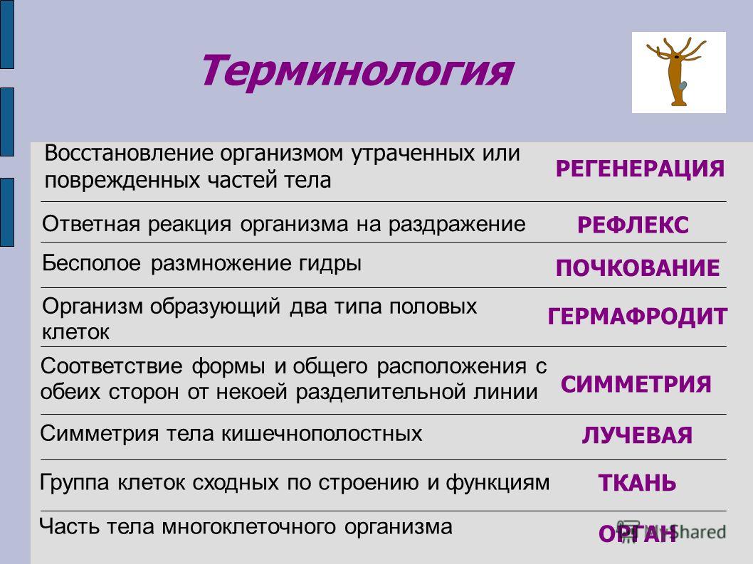 Сайты с наркотой